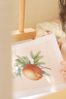 妈妈和女儿齐上阵的播出时间